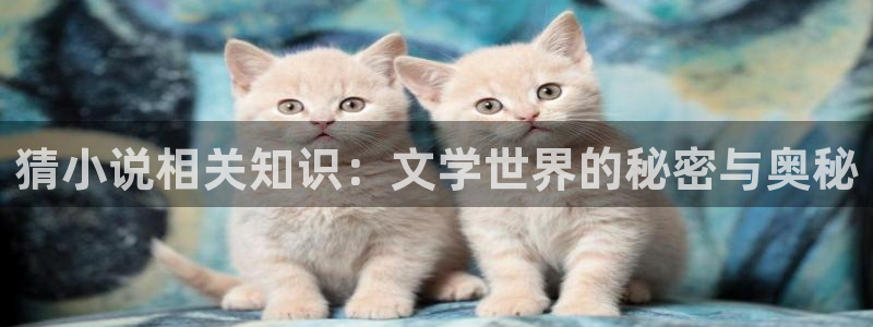 镇魂小说简介